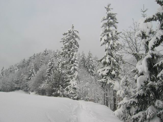 Lubnik, 29.2.2004 - foto povečava