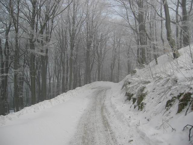 Kum, 1.2.2004 - foto povečava