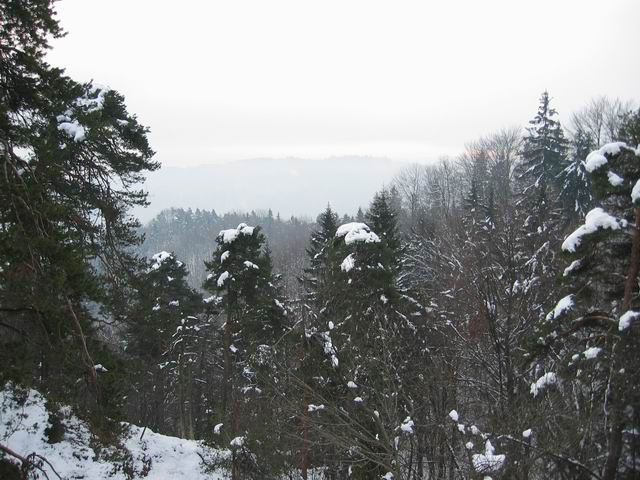 Katarina, Sv. Jakob, Jeterbenk, 25.1.2004 - foto povečava