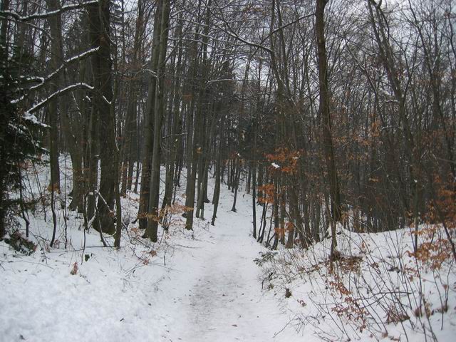 Katarina, Sv. Jakob, Jeterbenk, 25.1.2004 - foto povečava