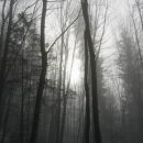 Koča Iskra na Jakobu, Potoška gora, 11.1.2004