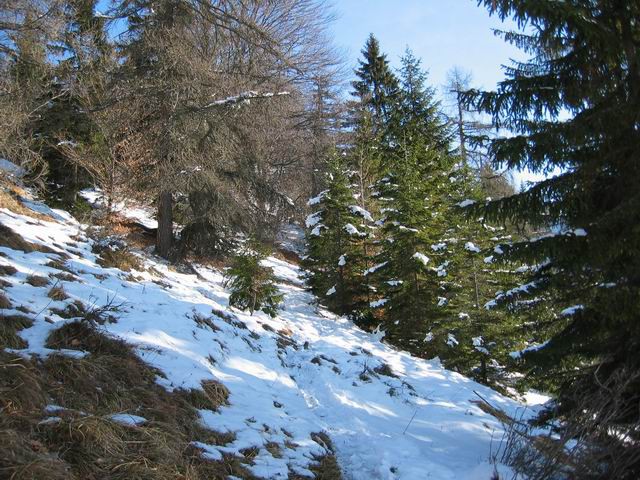 Koča Iskra na Jakobu, Potoška gora, 11.1.2004 - foto povečava