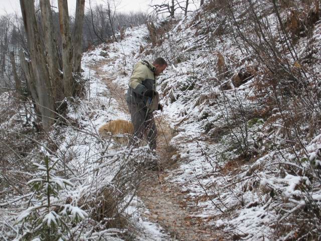 Tošč, Gonte, Grmada, 4.1.2004 - foto povečava