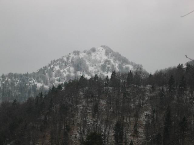 Tošč, Gonte, Grmada, 4.1.2004 - foto povečava