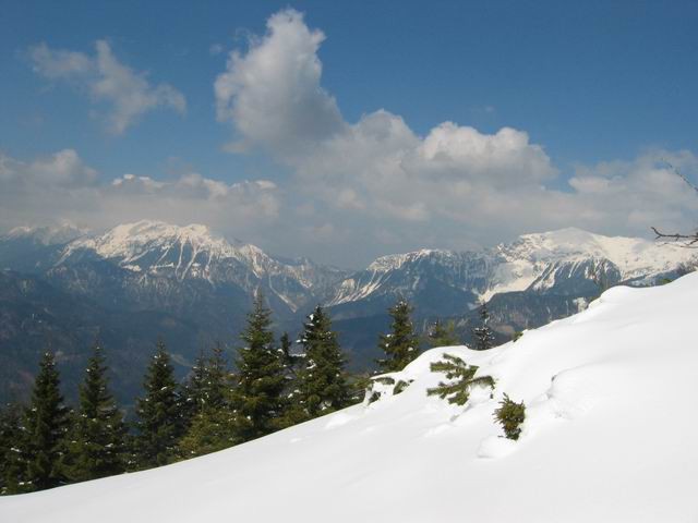 Kriška gora, Tolsti vrh, 13.4.2003 - foto