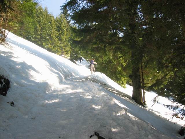 Kriška gora, Tolsti vrh, 13.4.2003 - foto povečava