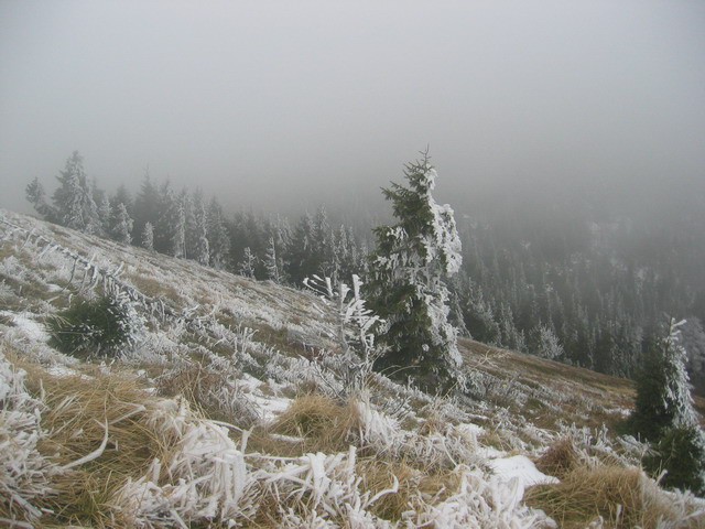 Dravh, Lajnar, Soriška planina, 14.11.2003 - foto povečava