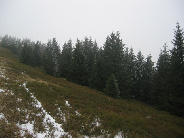 Dravh, Lajnar, Soriška planina, 14.11.2003 - foto