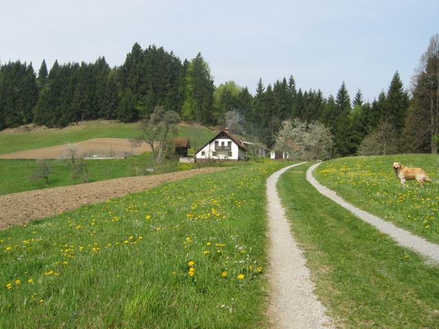 Sv. Mohor, 29.4.2003 - foto povečava