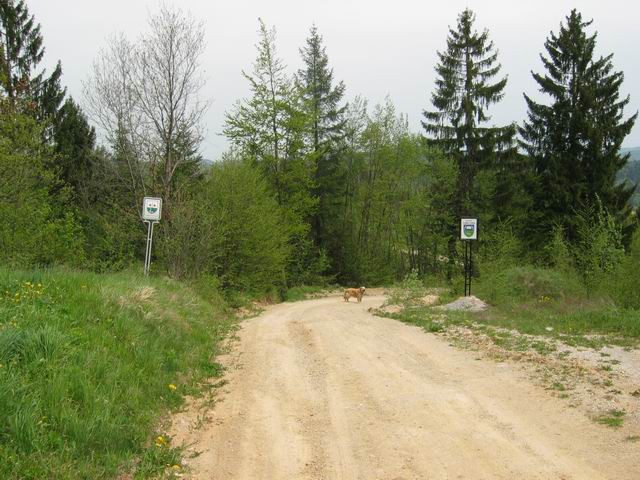 Kurešček, 30.4.2003 - foto povečava