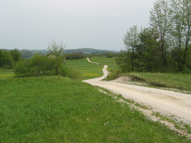 Kurešček, 30.4.2003 - foto povečava