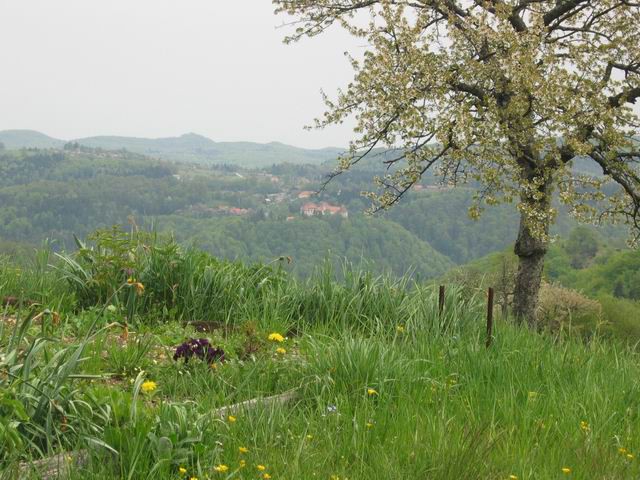 Kurešček, 30.4.2003 - foto