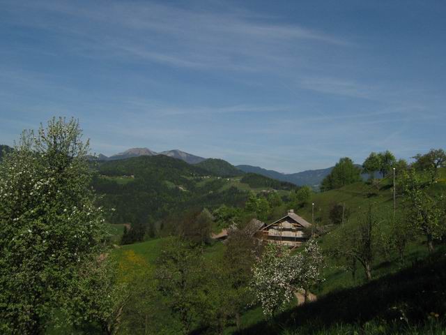 Lubnik, 4.5.2003 - foto povečava