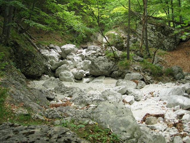 Kamniški Dedec s PD Rašica, 1.6.2003 - foto povečava