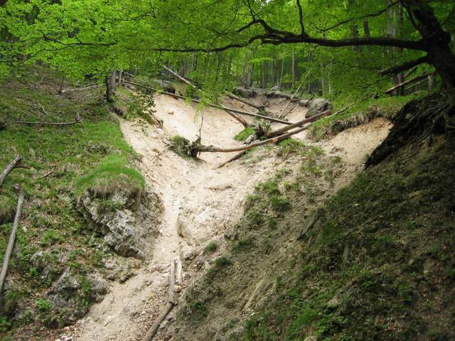 Kamniški Dedec s PD Rašica, 1.6.2003 - foto povečava