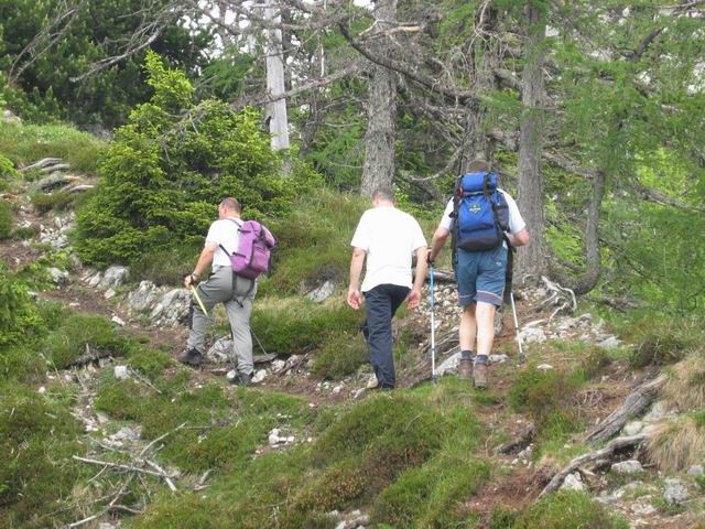 Kamniški Dedec s PD Rašica, 1.6.2003 - foto