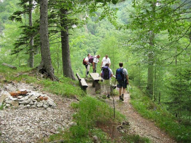 Kamniški Dedec s PD Rašica, 1.6.2003 - foto