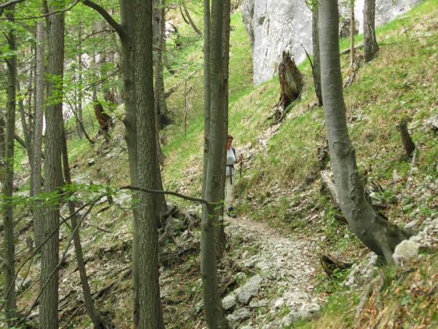 Kamniški Dedec s PD Rašica, 1.6.2003 - foto