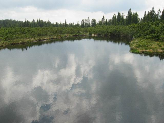 Prečenje Pohorja, 2.dan, 7.6.2003 - foto