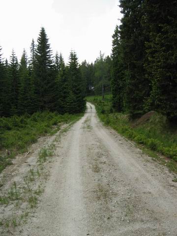 Prečenje Pohorja, 2.dan, 7.6.2003 - foto povečava