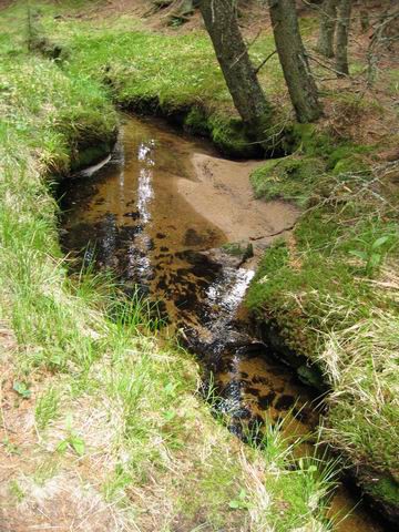 Prečenje Pohorja, 2.dan, 7.6.2003 - foto povečava