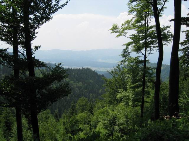Prečenje Pohorja, 3.dan, 8.6.2003 - foto
