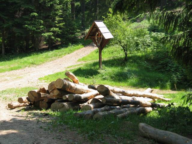 Prečenje Pohorja, 3.dan, 8.6.2003 - foto povečava