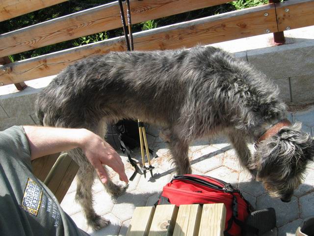 Prečenje Pohorja, 3.dan, 8.6.2003 - foto