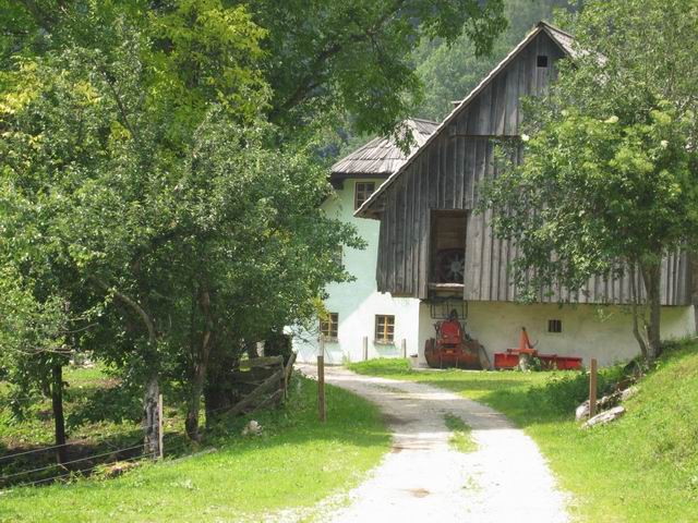 Grintovec, 28.6.2003 - foto povečava