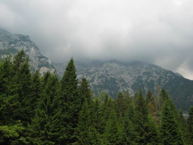 Grintovec, 28.6.2003 - foto