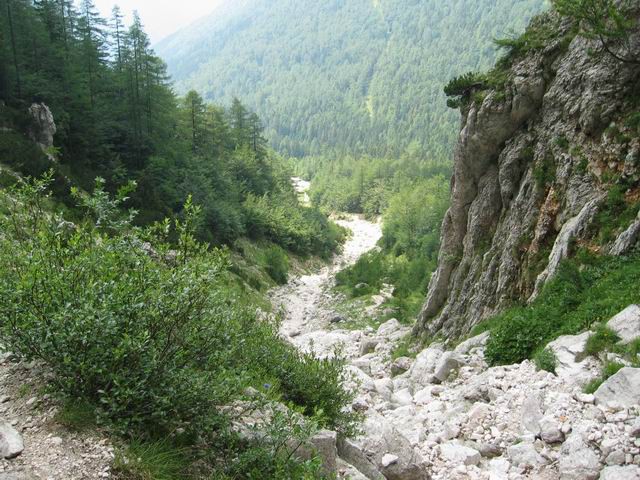 Grintovec, 28.6.2003 - foto