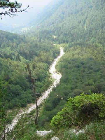 Grintovec, 28.6.2003 - foto povečava