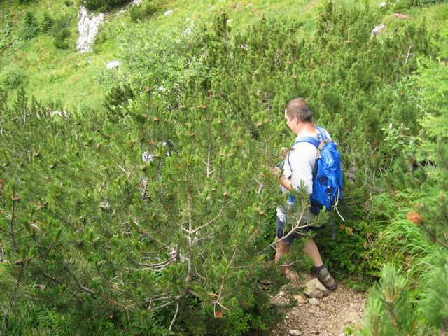 Grintovec, 28.6.2003 - foto