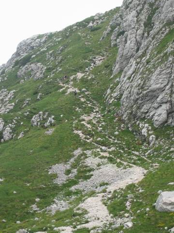 Grintovec, 28.6.2003 - foto povečava