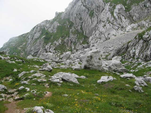 Grintovec, 28.6.2003 - foto povečava