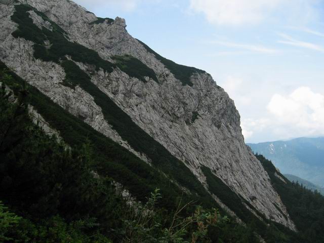 Grintovec, 28.6.2003 - foto povečava