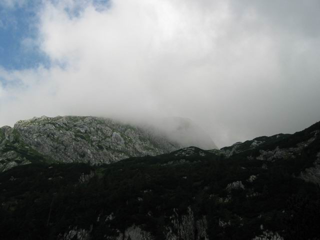 Grintovec, 28.6.2003 - foto povečava