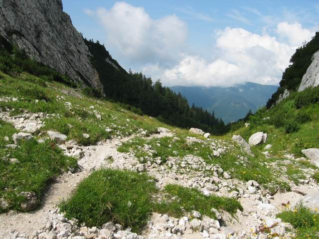 Grintovec, 28.6.2003 - foto povečava