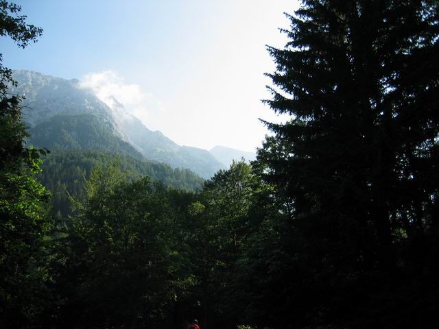 Grintovec, 28.6.2003 - foto povečava