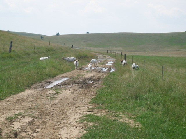 Vremščica, 11.7.2003 - foto