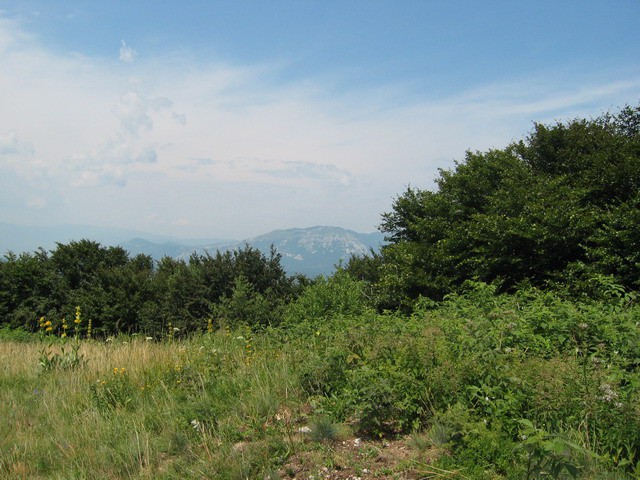 Vremščica, 11.7.2003 - foto