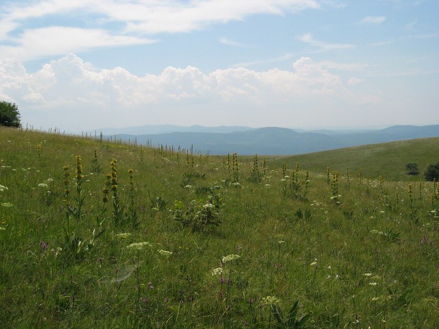 Vremščica, 11.7.2003 - foto