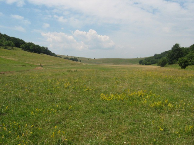 Vremščica, 11.7.2003 - foto