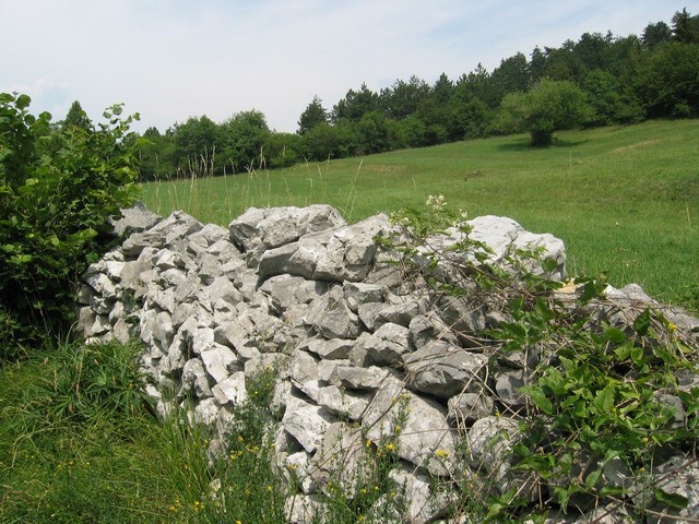 Vremščica, 11.7.2003 - foto povečava