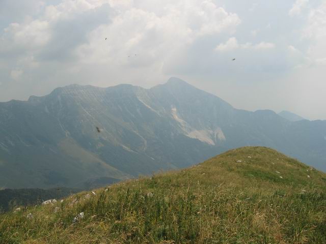 Krasji vrh (Polovnik), 6.8.2003 - foto povečava