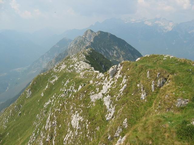 Krasji vrh (Polovnik), 6.8.2003 - foto