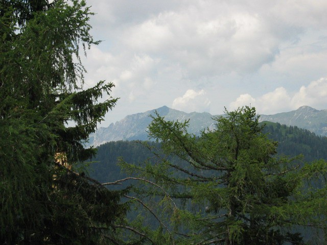 Kozji vrh, 16.6.2003 - foto povečava