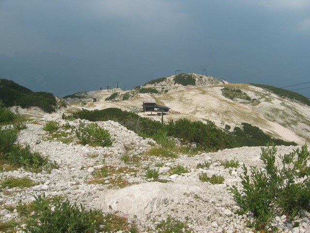 Rodica, Rjava skala (Vogel), 14.8.2003 - foto