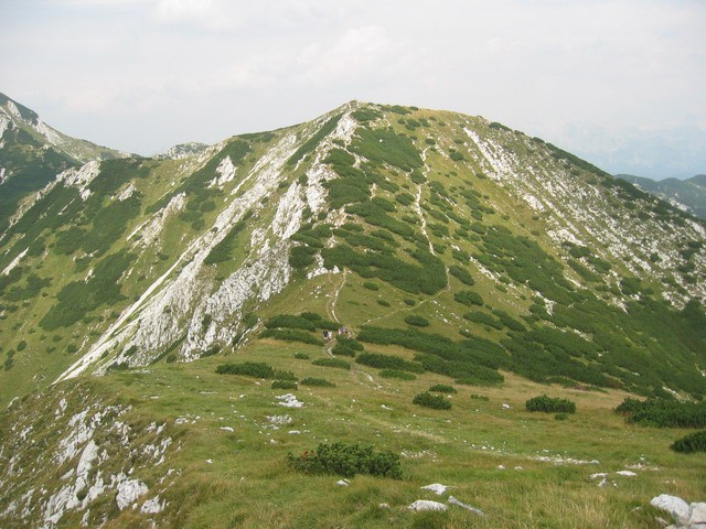 Rodica, Rjava skala (Vogel), 14.8.2003 - foto