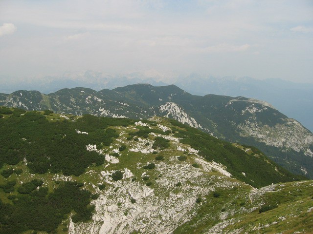 Rodica, Rjava skala (Vogel), 14.8.2003 - foto povečava